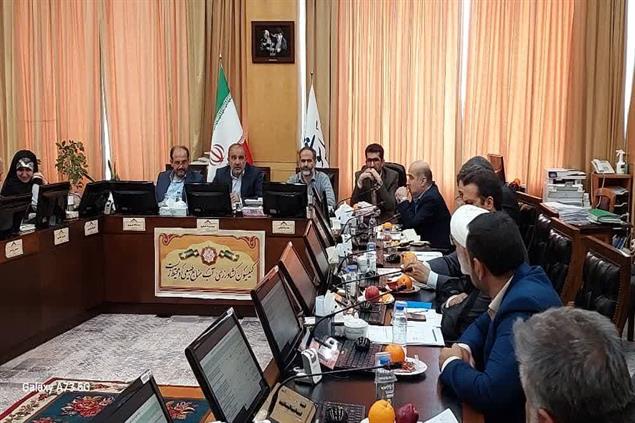 تعامل سازمان امور عشایر ایران و مجلس شورای اسلامی برای حل مشکلات جامعه عشایری